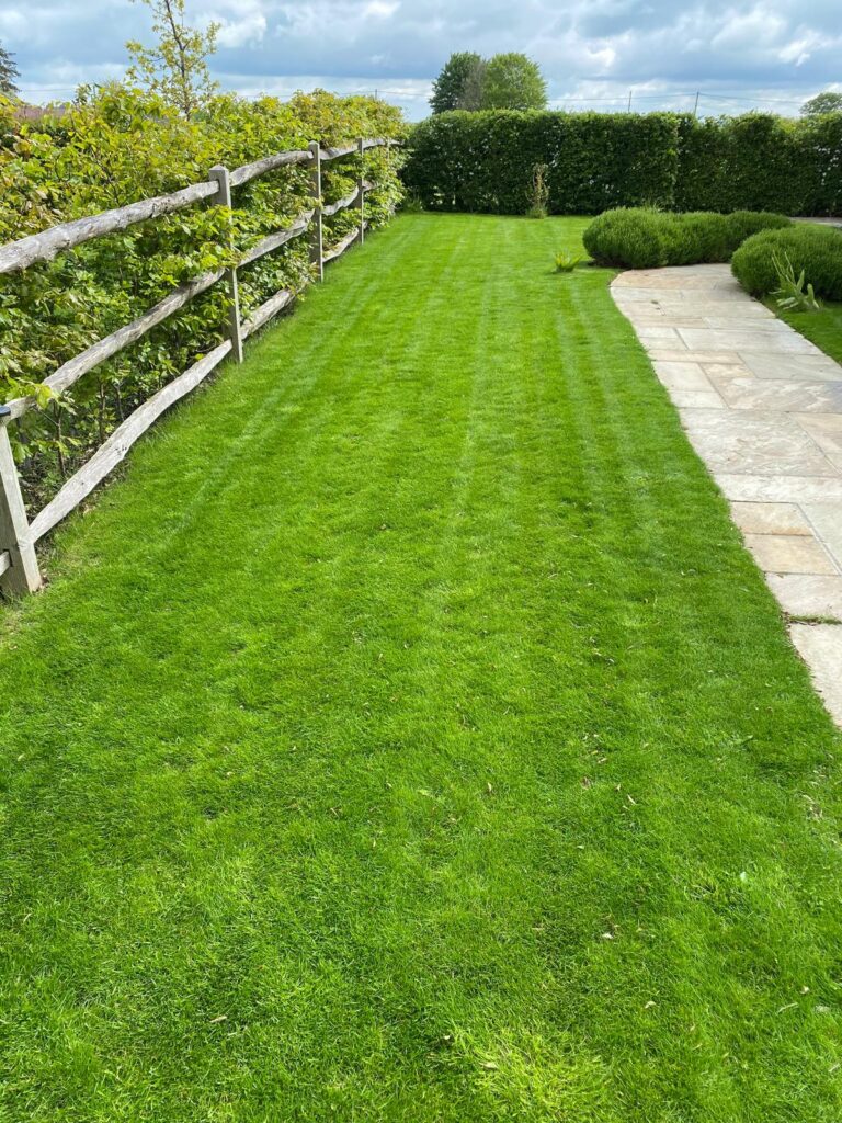 Lawn after treatment