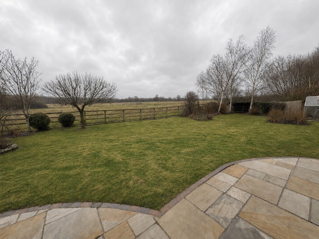 Lawn before treatment