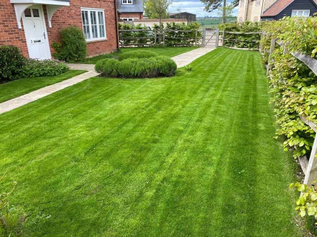 Lawn after treatment
